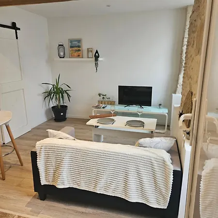 Apartament Centre Historique D'auch *