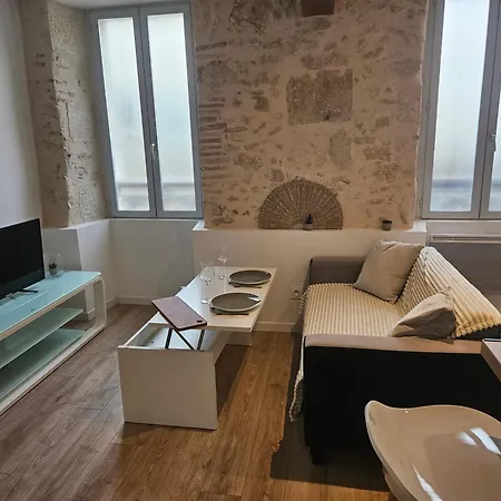 Centre Historique D'auch Appartement *